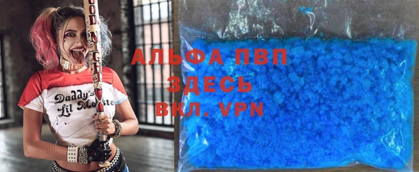 мет Алексин